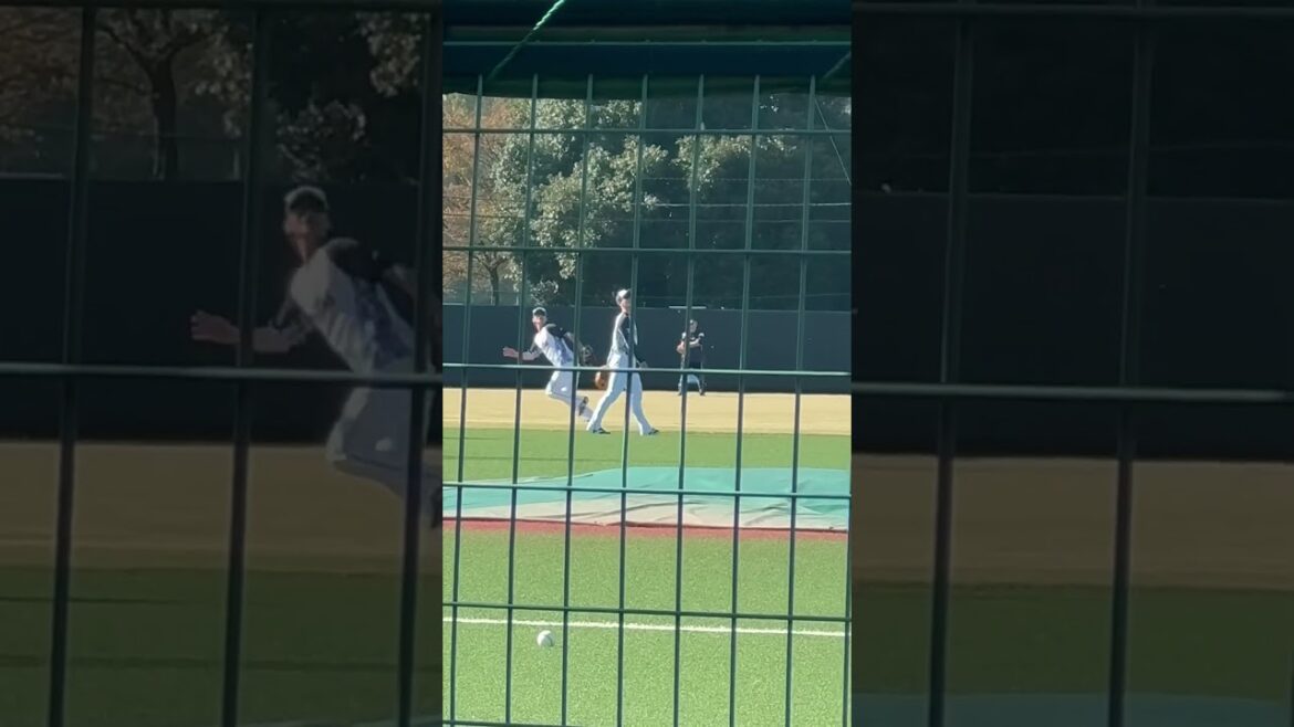 内山壮真選手も元気そうでよかった！ヤクルトスワローズ秋季練習最終日