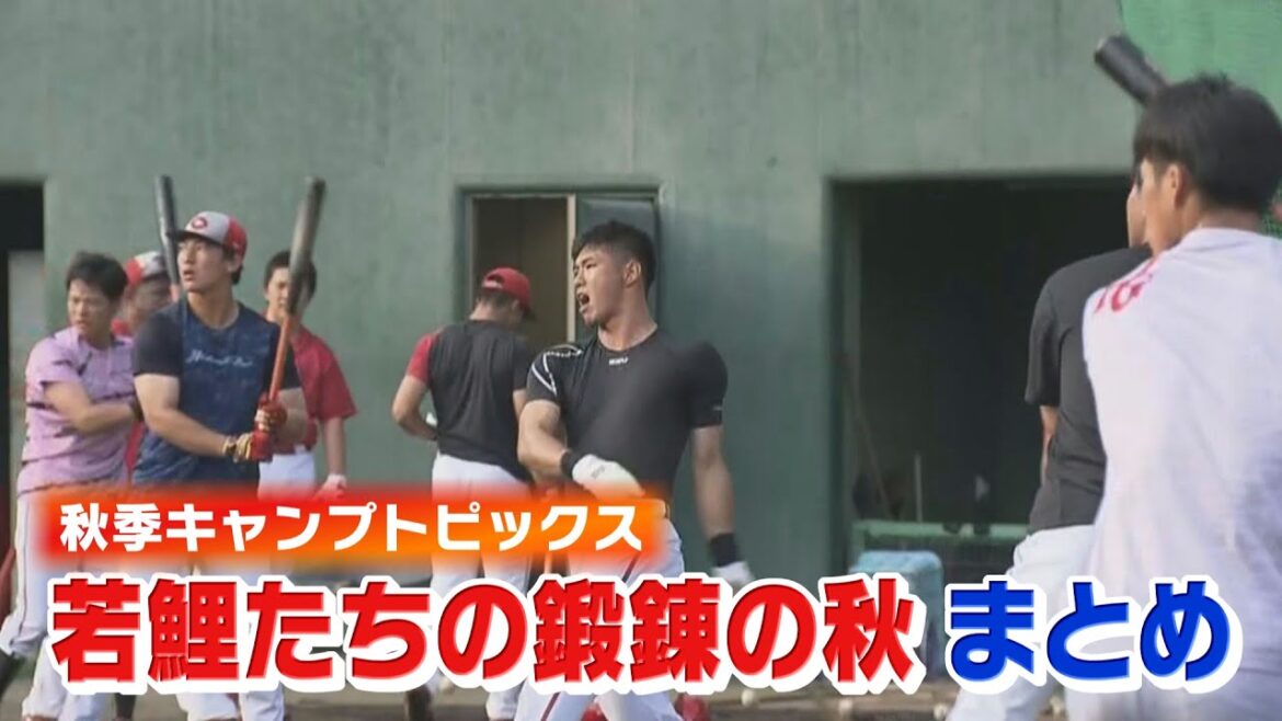 【若鯉の鍛錬は続く】秋季キャンプトピックス