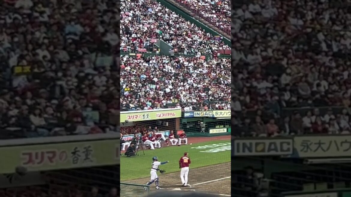 元東北楽天ゴールデンイーグルス　嶋基宏選手1作目応援歌(下妻流用) #応援歌