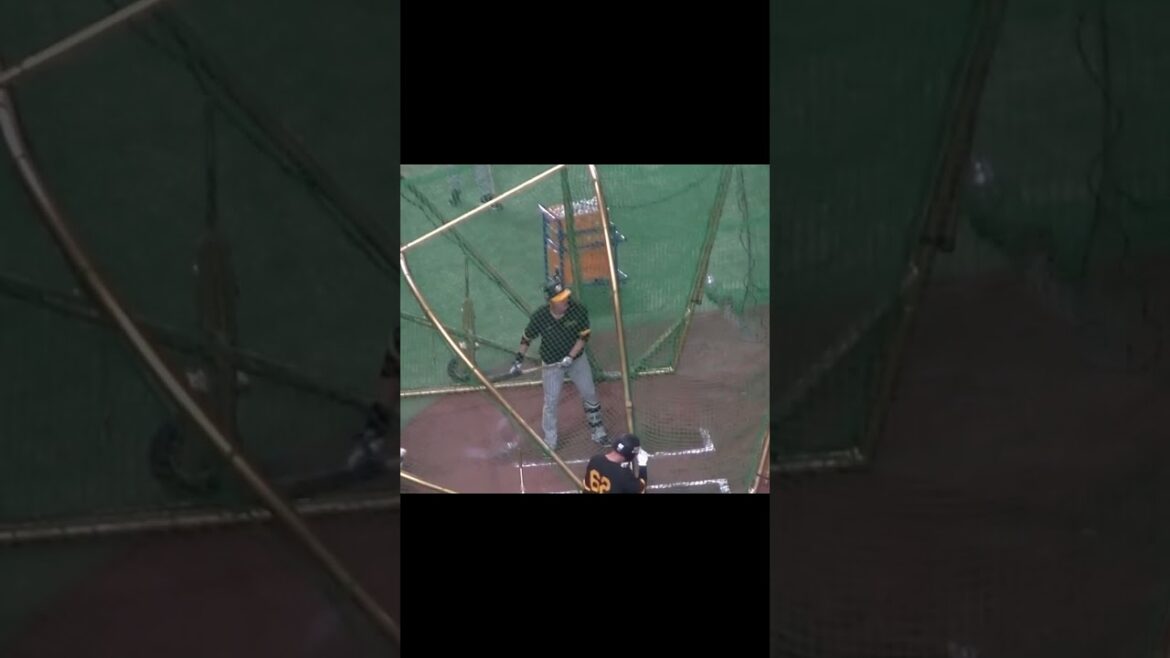 【阪神】小野寺暖のフリーバッティング＜開幕戦 巨人 対 阪神  2024年3月29日＞