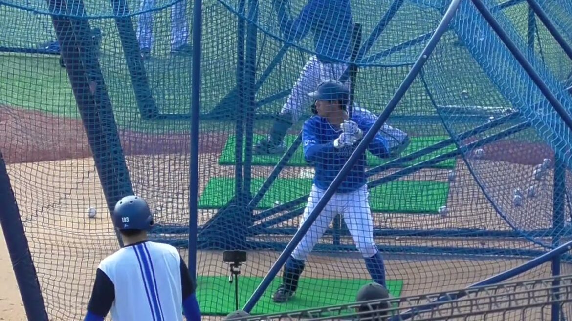 2024年11月横浜DeNAベイスターズ 秋季トレーニング 森 敬斗 選手・高見澤 郁魅 選手のフリー打撃練習