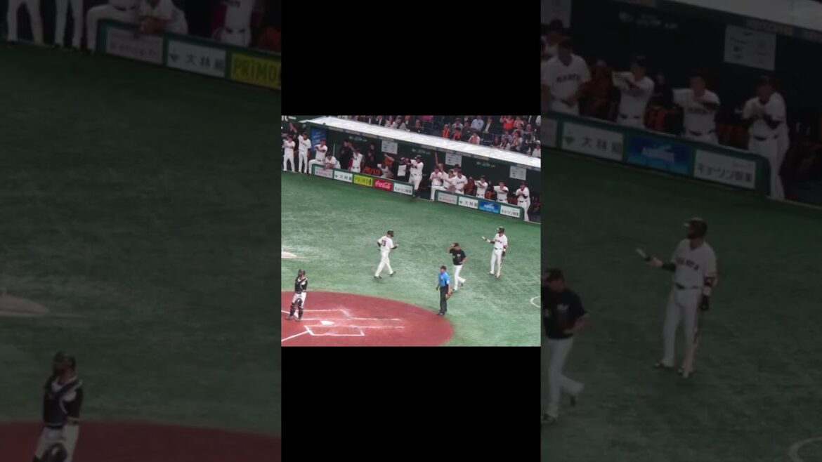 岡本和真タイムリーヒット 山﨑伊織ホーム生還で10点目の巨人 ベンチが大いに盛り上がる（読売ジャイアンツ対 千葉ロッテマリーンズ2024年6月4日）