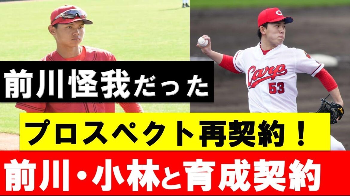 【朗報】広島が前川・小林と育成契約！プロスペクトとの再契約で一安心！支配下を勝ち取るには何が必要？【広島東洋カープ】