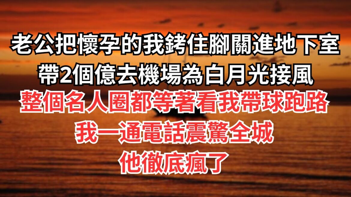 老公把懷孕的我銬住腳關進地下室，帶2個億去機場為白月光接風，整個名人圈都等著看我帶球跑路，我一通電話震驚全城，他徹底瘋了#情感故事 #婚姻 #故事 #爽文 #爽文完结