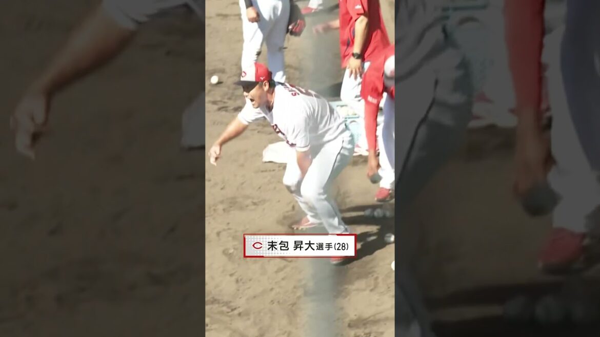 新井監督、仲田＆末包に愛のあるトス #カープ #広島東洋カープ #新井監督  #仲田侑仁  #末包昇大