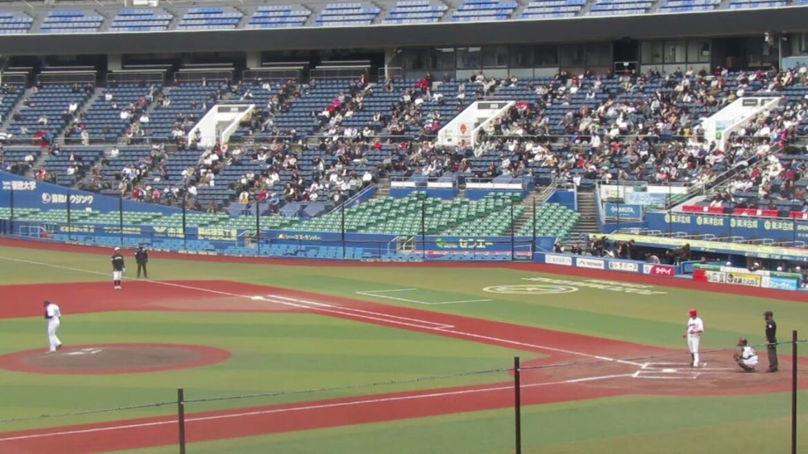 トライアウト〜広島 曽根海成が三塁打を放つ（2024年11月14日 プロ野球合同トライアウト ）