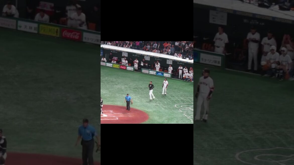 秋広優人の二塁打で喜ぶベンチの選手たちと最後うなずいてる阿部慎之助監督（読売ジャイアンツ対 千葉ロッテマリーンズ2024年6月4日