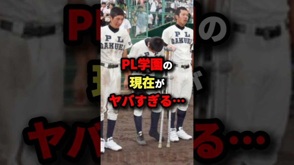 PL学園の現在がヤバすぎる… #高校野球 #shorts
