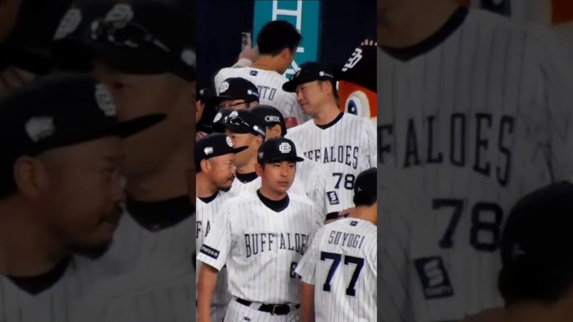 20230917試合終了後ハイタッチ #オリックスバファローズ #中嶋聡