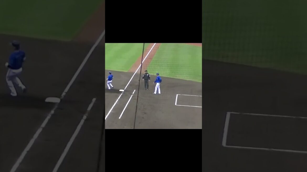 宮西尚生から神里和毅がヒット（2024年4月23日 日本ハムファイターズ対 横浜DeNAベイスターズ 2軍）