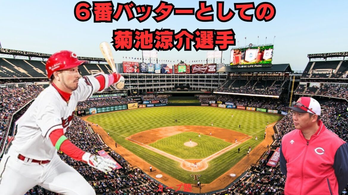 6番バッターとしての菊池涼介選手 6番バッターとしての菊池涼介選手