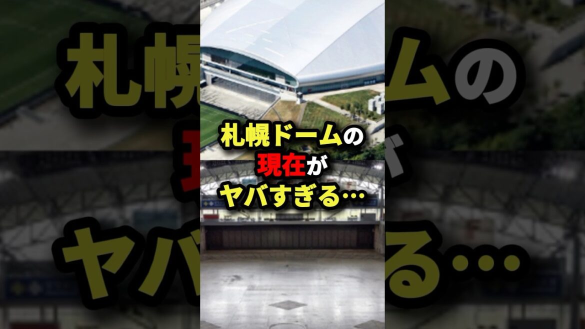 札幌ドームの現在がヤバすぎる… #プロ野球 #shorts