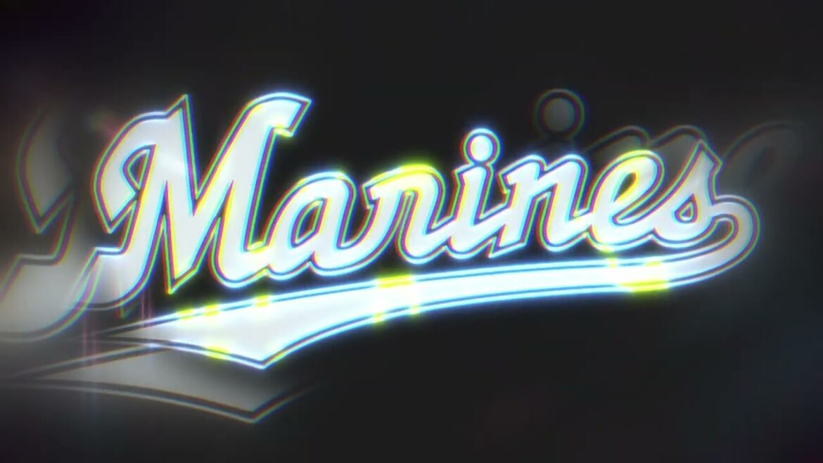 【作業用】福田 秀平選手応援歌40分耐久