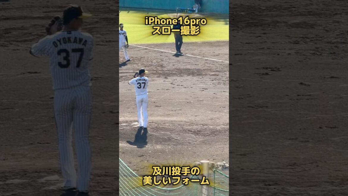 阪神 #及川雅貴 投手の美しい投球フォーム #阪神 #阪神タイガース #投球フォーム #投球動作 #ピッチャー #iphone16pro #横浜高校 #プロ野球 #投球練習 #iphone16