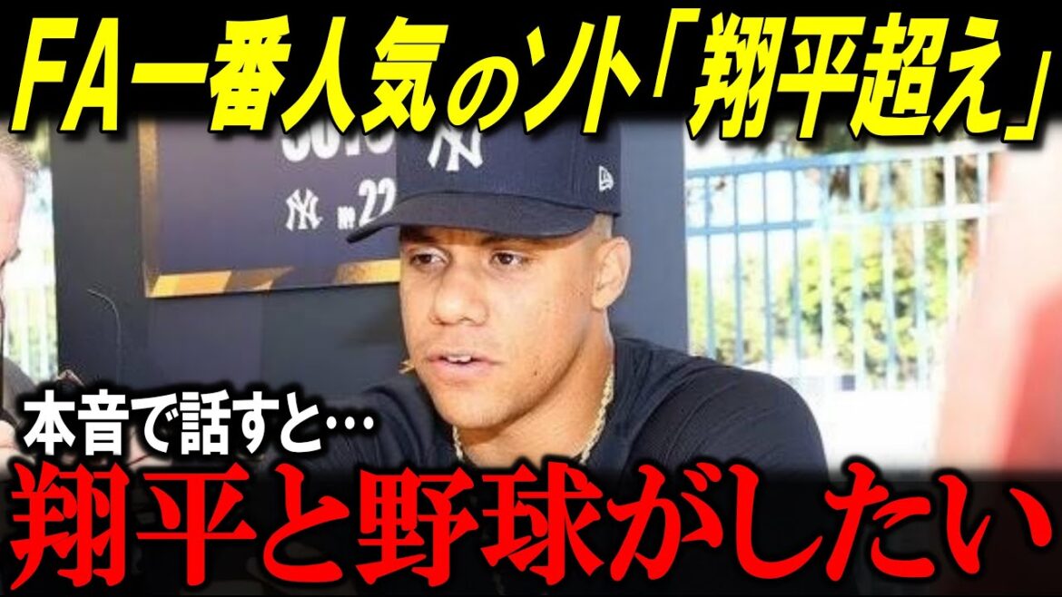 FA1番人気のソトが衝撃本音！「翔平と野球がしたい…」『翔平超え』狙うソト、慕う朗希…【海外の反応/MLB/メジャー/野球】