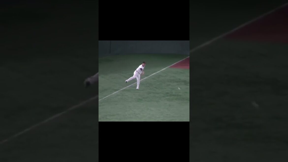 シートノック 巨人外野陣 丸佳浩や長野久義 佐々木俊輔などなど＜開幕戦 巨人 対 阪神  2024年3月29日＞