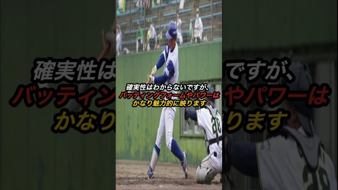 阪神タイガース 2024年 育成ドラ4 川上選手は打てる二遊間候補 #阪神タイガース #プロ野球