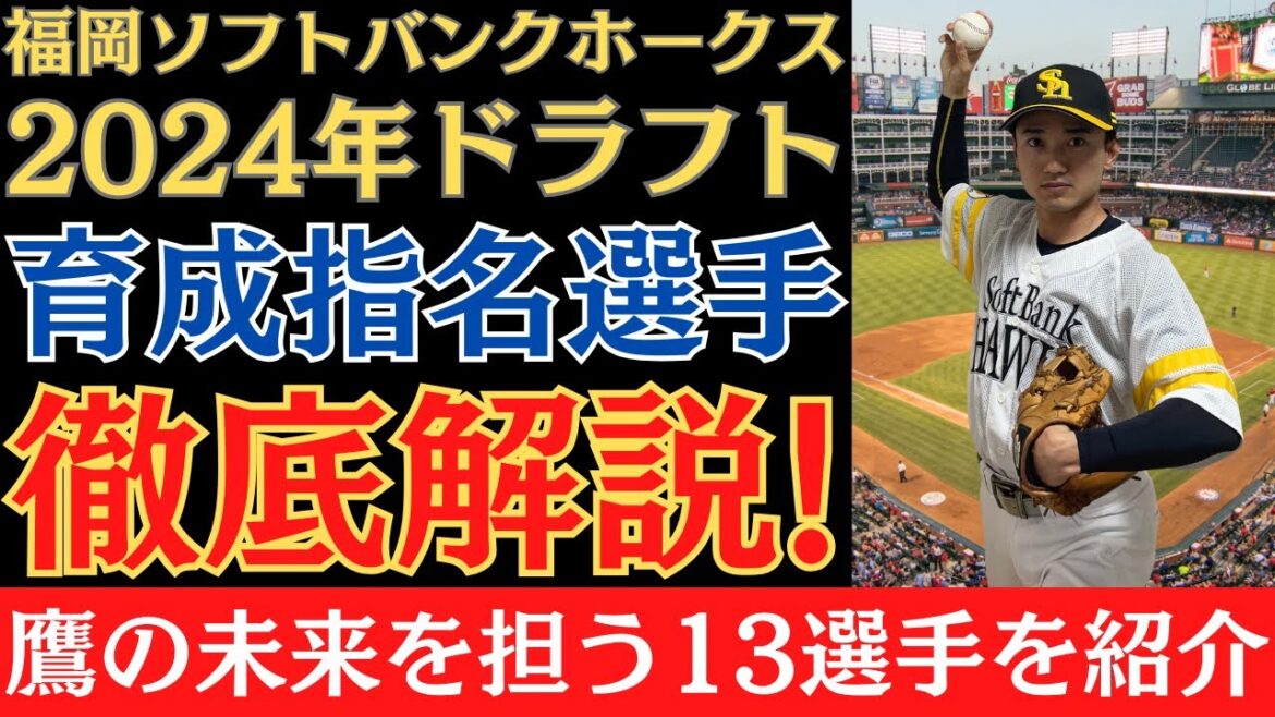 【2024年ドラフト】福岡ソフトバンクホークスが育成で指名した13選手を徹底解説！