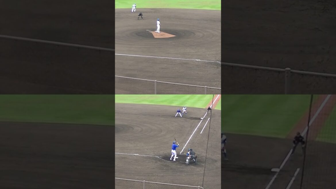 宮西尚生が蛯名達夫は空振り三振（2024年4月23日 日本ハムファイターズ対 横浜DeNAベイスターズ 2軍）