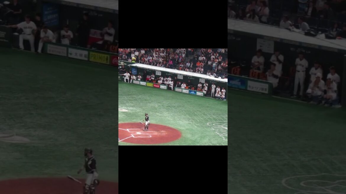 岡本和真2塁打で喜ぶベンチの選手たち（読売ジャイアンツ対 千葉ロッテマリーンズ2024年6月4日 #岡本和真