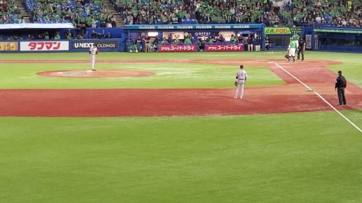 20240511　打者は現ドラ北村拓己！【右打者汎用 応援歌】5回ｳﾗ　東京ﾔｸﾙﾄｽﾜﾛｰｽﾞ　汎用ﾃｰﾏ@神宮球場･ﾚﾌﾄ外野 明治神宮野球場