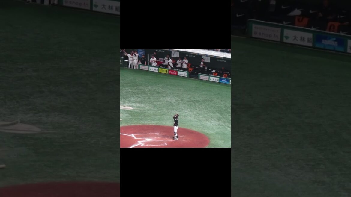 秋広優人がヒットで喜ぶベンチなど（読売ジャイアンツ対 千葉ロッテマリーンズ2024年6月4日）