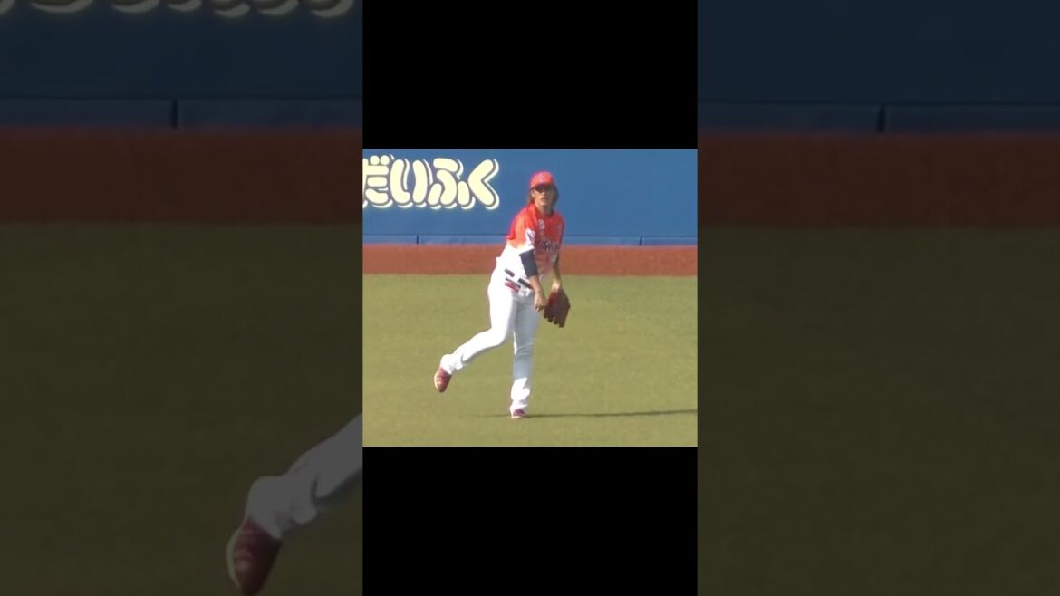 【合同トライアウト】シートノック開始前 元巨人の陽岱鋼 2024年プロ野球12球団合同トライアウト11月14日 #陽岱鋼