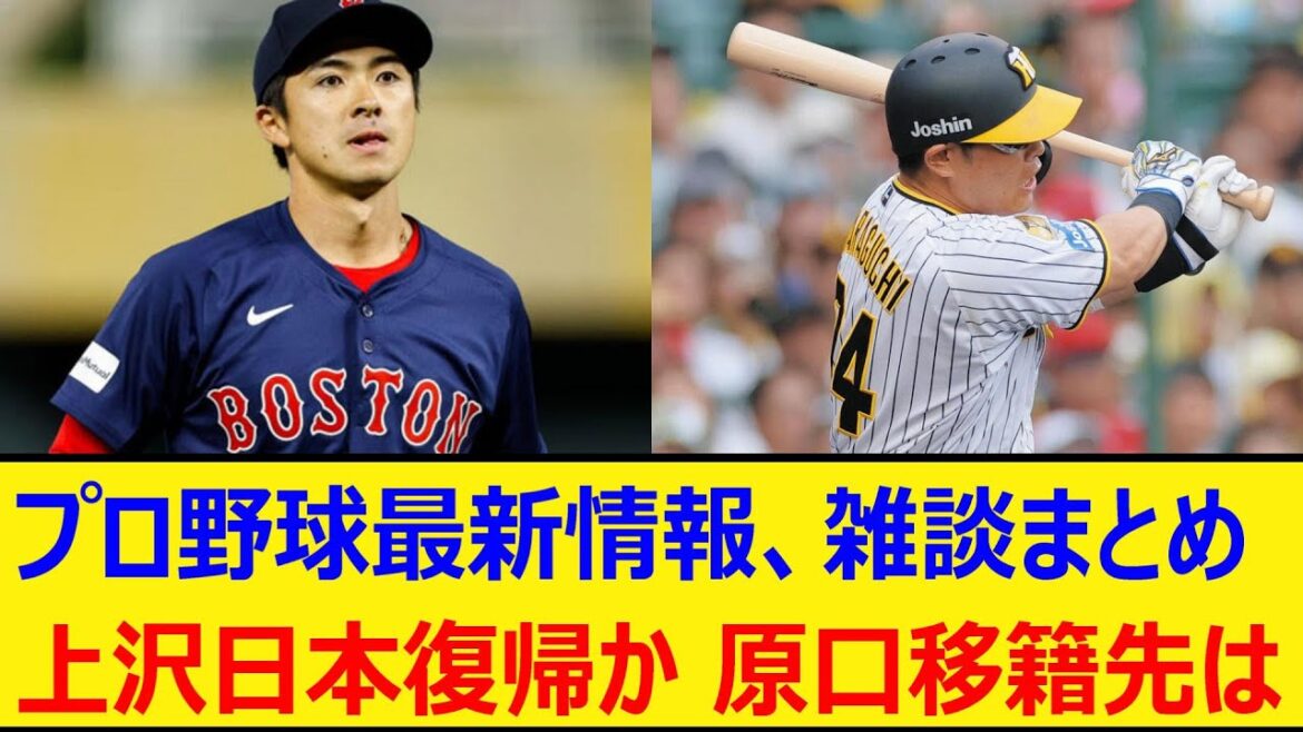 プロ野球最新情報、雑談まとめ。上沢日本復帰か、原口移籍先は【セリーグ、パリーグ】【プロ野球、なんj、なんg反応】【野球、2ch、5chまとめ】【阪神タイガース、北海道日本ハムファイターズ】 プロ野球最新情報、雑談まとめ。上沢日本復帰か、原口移籍先は【セリーグ、パリーグ】【プロ野球、なんj、なんg反応】【野球、2ch、5chまとめ】【阪神タイガース、北海道日本ハムファイターズ】