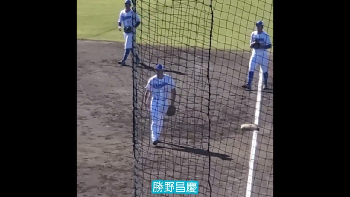 20241109　投内連携！ﾉｯｸを受ける #勝野昌慶　#shorts　#守備練習@ﾅｺﾞﾔ球場 秋季ｷｬﾝﾌﾟ2024