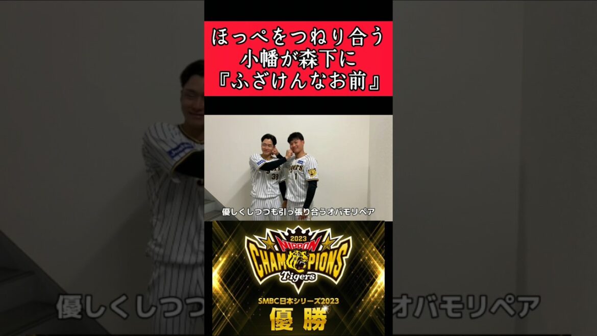 【阪神】小幡と森下がほっぺをつねり合う！ #阪神 #阪神タイガース #小幡竜平 #森下翔太 #shorts