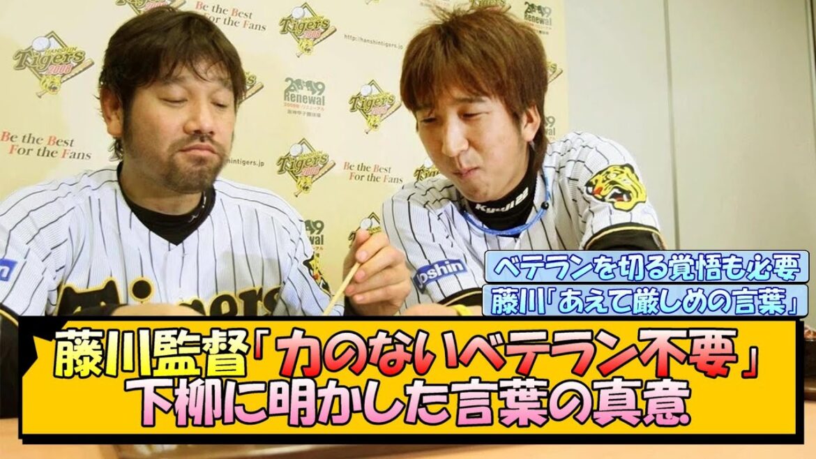 【阪神】藤川監督「力のないベテラン不要」下柳に明かした言葉の真意【なんJ/2ch/5ch/ネット 反応 まとめ/阪神タイガース/藤川球児】