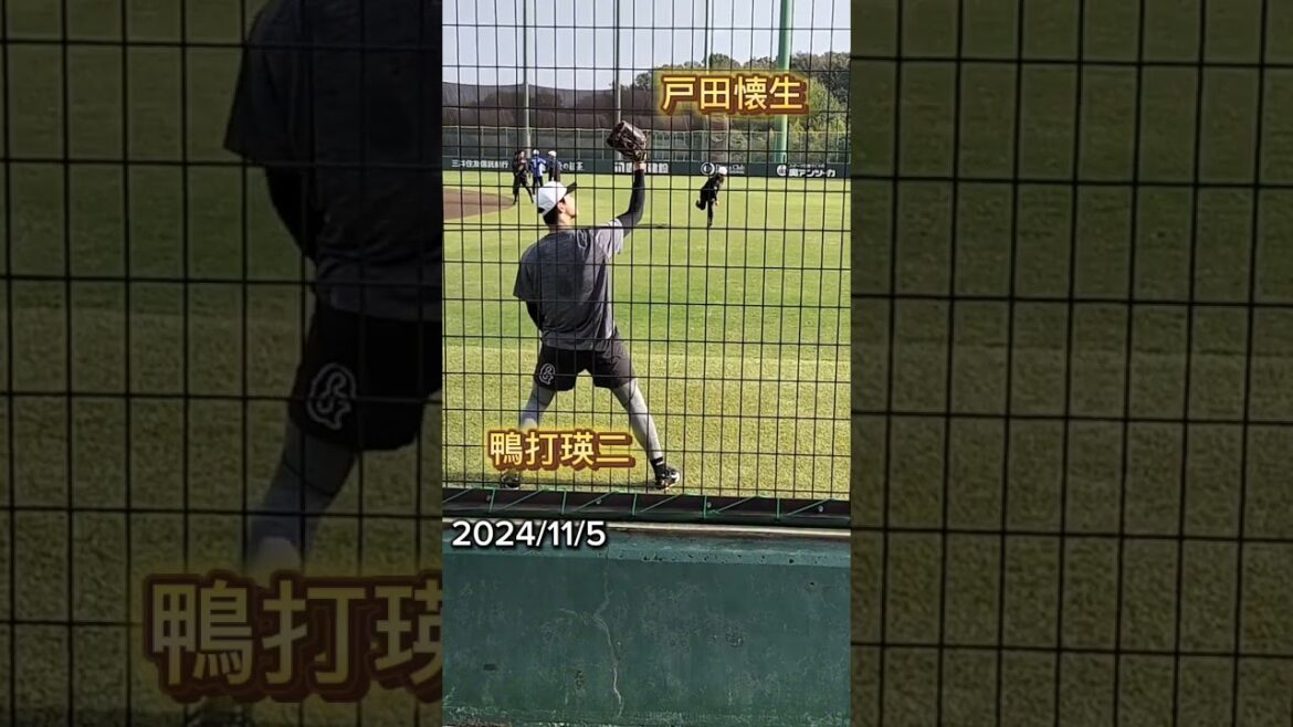 【GIANTS】 #鴨打瑛二 #戸田懐生 プロのキャッチボール #shorts #巨人 #ジャイアンツ #プロ野球