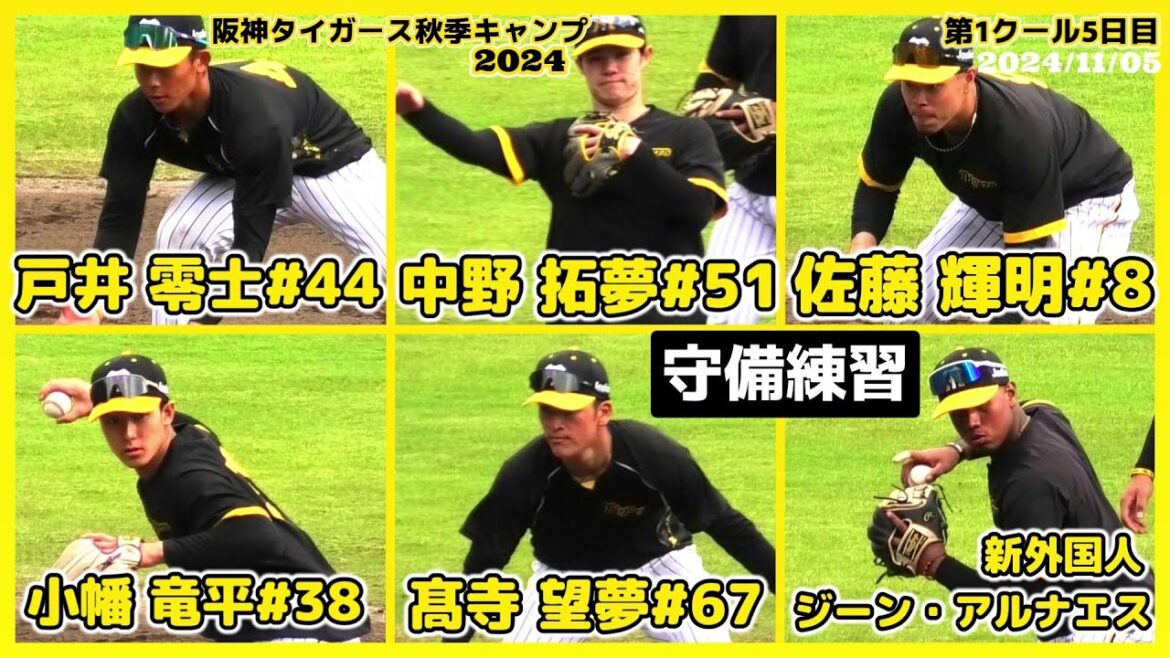 【≪阪神の内野手陣/守備練習≫佐藤輝明・中野拓夢・アルナエス・戸井零士・高寺望夢・小幡竜平/2024阪神タイガース秋季キャンプ(第1クール5日目)】2024/11/05阪神タイガース