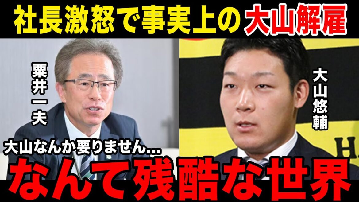 【リストラ確定】大山悠輔、阪神社長と大喧嘩し解雇を言い渡されてしまう.......大山が行き着く先の球団も明らかに......これからの阪神の体制がやばすぎる.......