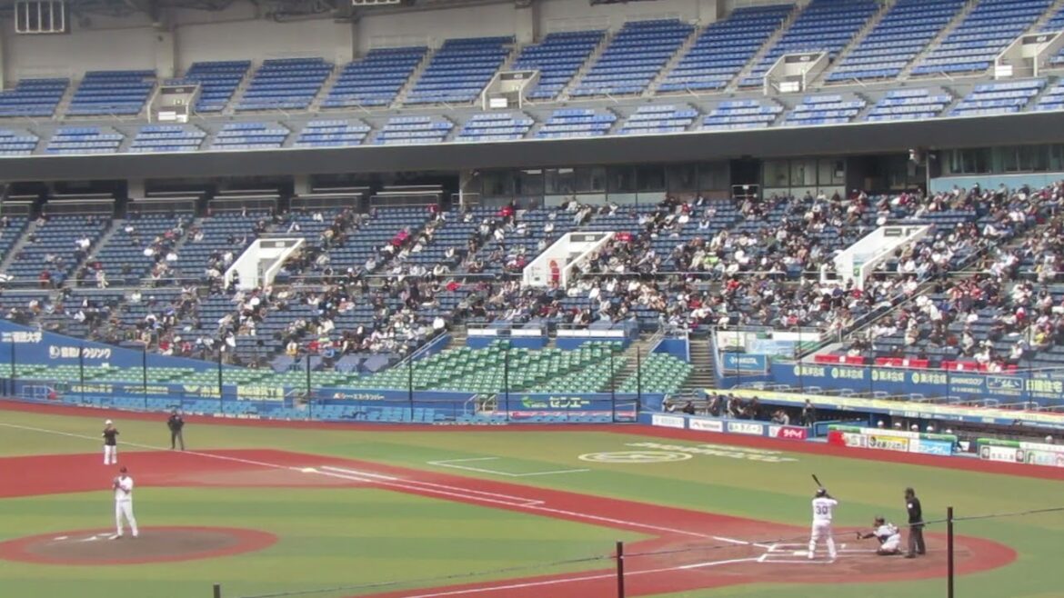 トライアウト〜巨人 小沼健太 広島 曽根海成を抑え 西田明央に四球（2024年11月14日 プロ野球合同トライアウト ）