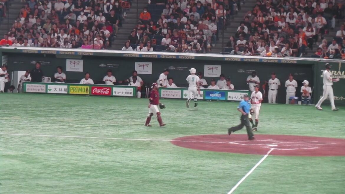 【巨人ベンチ】舟越秀虎がフォアボールで喜ぶ姿（読売ジャイアンツ 対 楽天ゴールデンイーグルス 2024年9月22日）