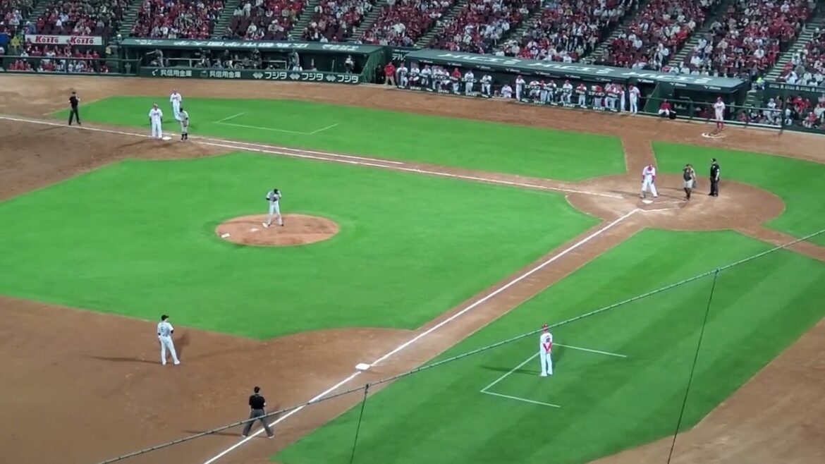 20240517　打者は林晃汰！【野手汎用 応援歌(ﾌﾟﾛ入り5年目以上)】広島東洋ｶｰﾌﾟ　5回ｳﾗ　汎用ﾃｰﾏ@MAZDA Zoom-Zoom ｽﾀｼﾞｱﾑ広島･ﾋﾞｼﾞﾀｰﾊﾟﾌｫｰﾏﾝｽ