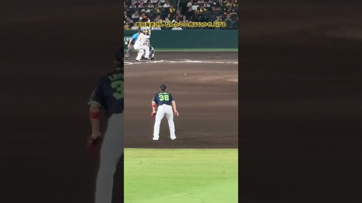 #島田海吏 なんかいい感じにかち上げたと思ったらただのファールだった