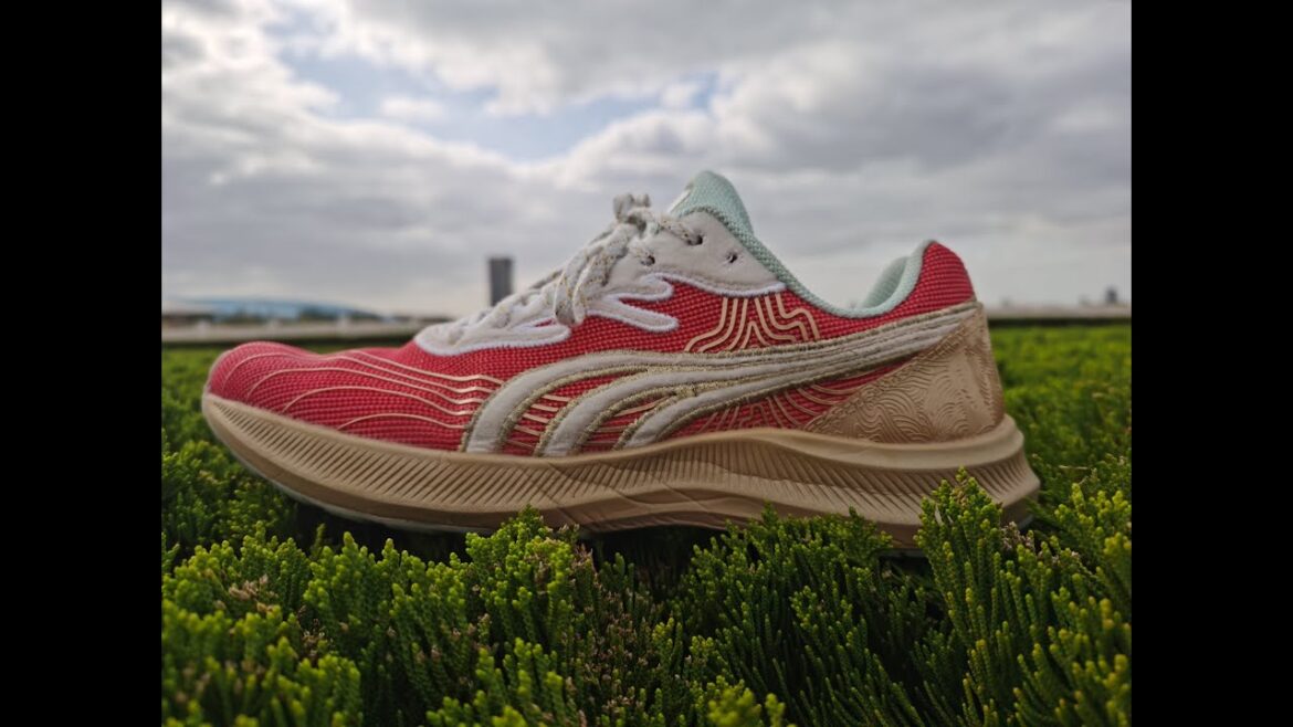 聽我說多威「征途2」雖好但請您合理使用 聽我說多威「征途2」雖好但請您合理使用