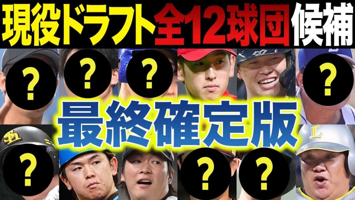 【現役ドラフト2024】候補がほぼほぼ確定する~全12球団完全予想 【現役ドラフト2024】候補がほぼほぼ確定する~全12球団完全予想