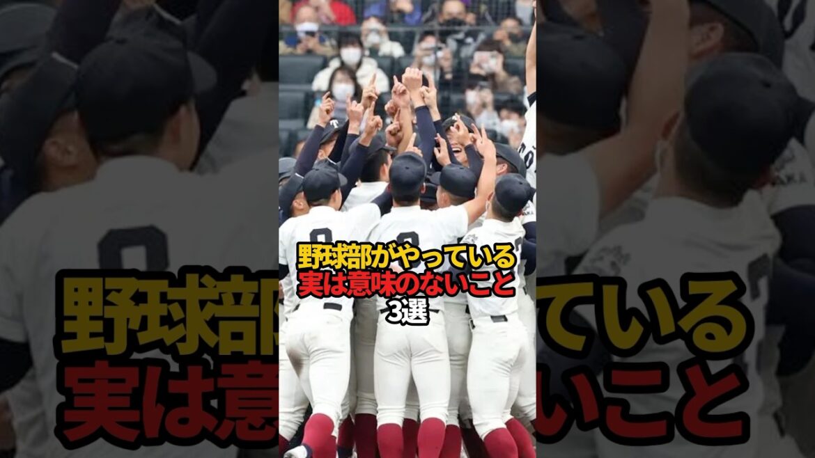 野球部がやっている実は意味のないこと 3選#sports #shorts #高校野球 #野球 #やきゅスト