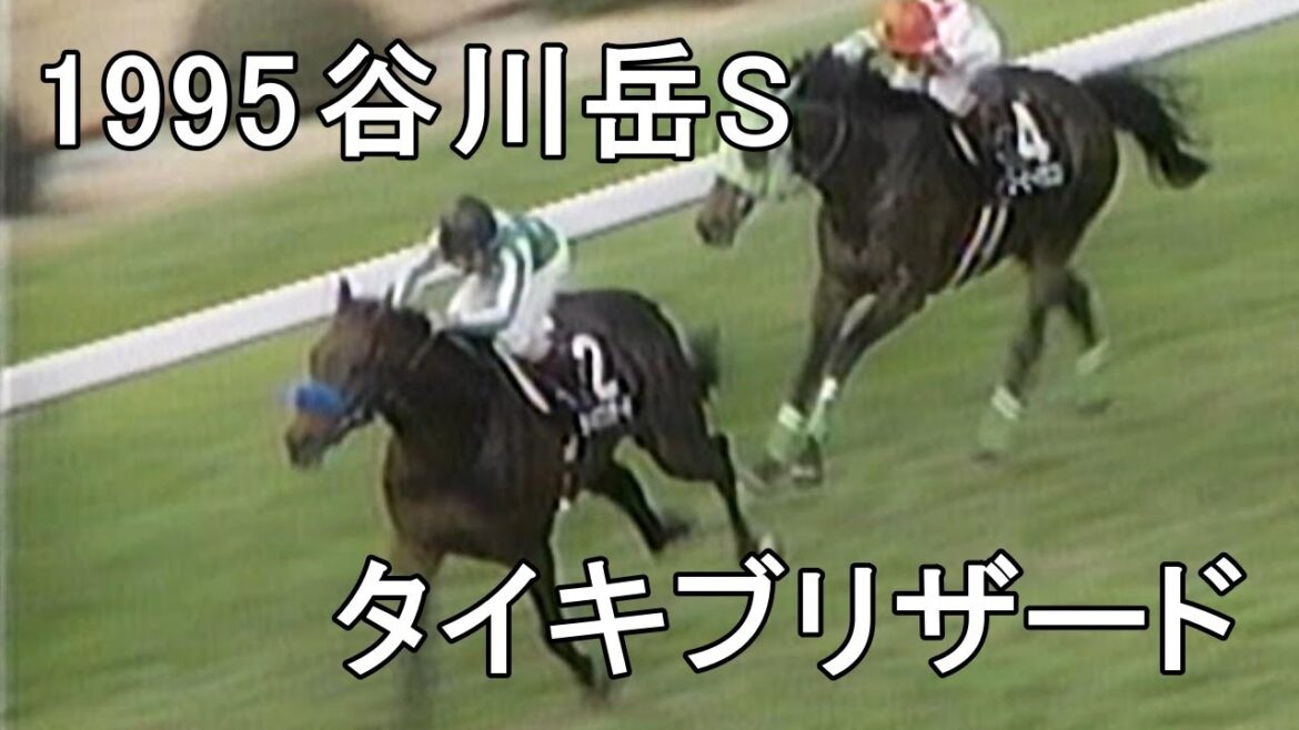 タイキブリザード 1995年(平成7年)谷川岳ステークス(OP)