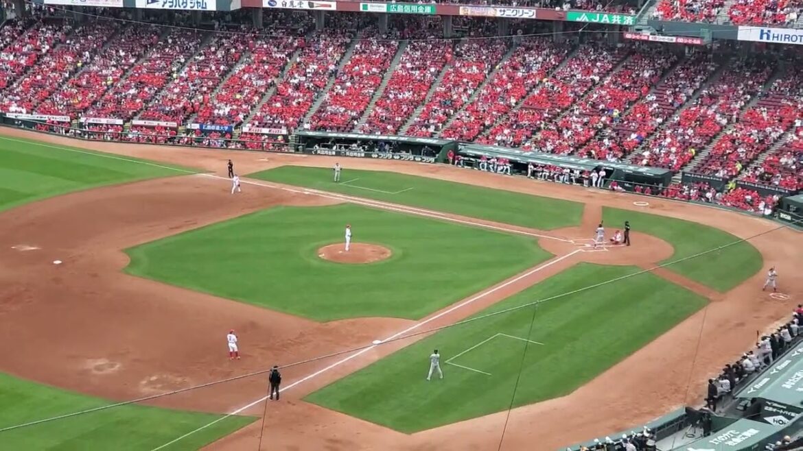 20240421　打者は高橋礼！【先発投手マーチ】 読売ｼﾞｬｲｱﾝﾂ(巨人)　3回表　先発投手の汎用応援歌@MAZDA Zoom-Zoom ｽﾀｼﾞｱﾑ広島･ﾋﾞｼﾞﾀｰﾊﾟﾌｫｰﾏﾝｽ