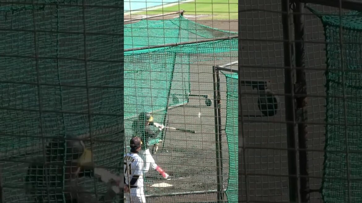矢野輝弘以来の打てる捕手へ！！中川勇斗 68