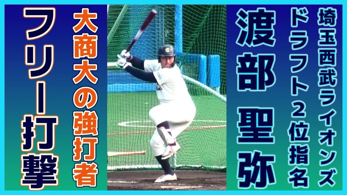 【≪2024埼玉西武ライオンズドラフト2位/フリー打撃≫懐の深いバッティングが持ち味！強打の外野手/2023侍ジャパン大学代表候補選手強化合宿3日目】大阪商業大・渡部 聖弥(府中野球クラブ→広陵高)