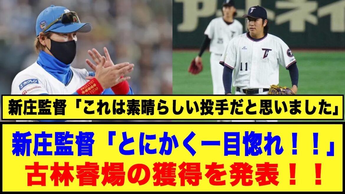 新庄監督「とにかく一目惚れ！」古林睿煬の獲得を発表！！