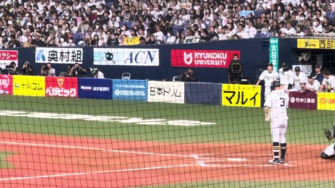 2024/9/24 安達了一選手引退試合第2打席