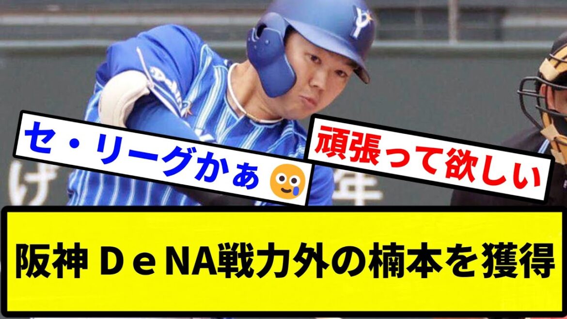 【大チャンスや！！】阪神がDｅNA戦力外の楠本を獲得【なんJ反応】【プロ野球反応集】【5chスレ】