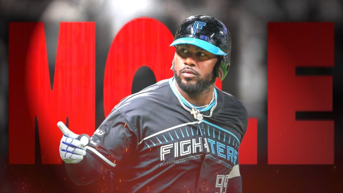 【最強助っ人】レイエス ホームラン集2024シーズン【X Gon' Give It to Ya】