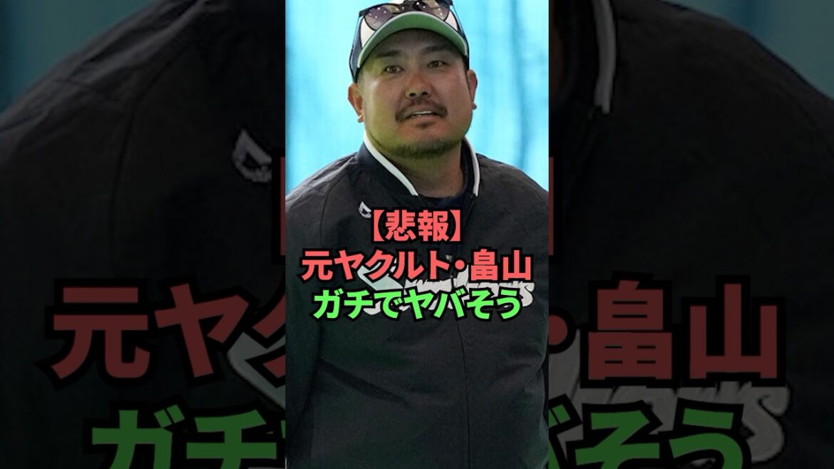 【悲報】元ヤクルト・畠山ガチでヤバそう
